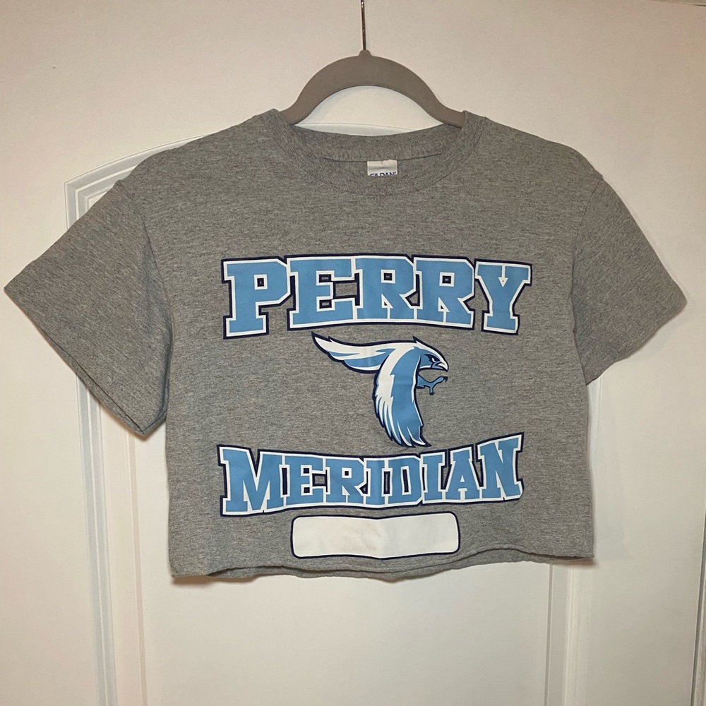 Cropped Goldman size small vintage gray T-shirt